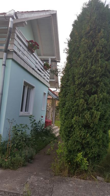 Casa Cristina Villa Sovata Ngoại thất bức ảnh